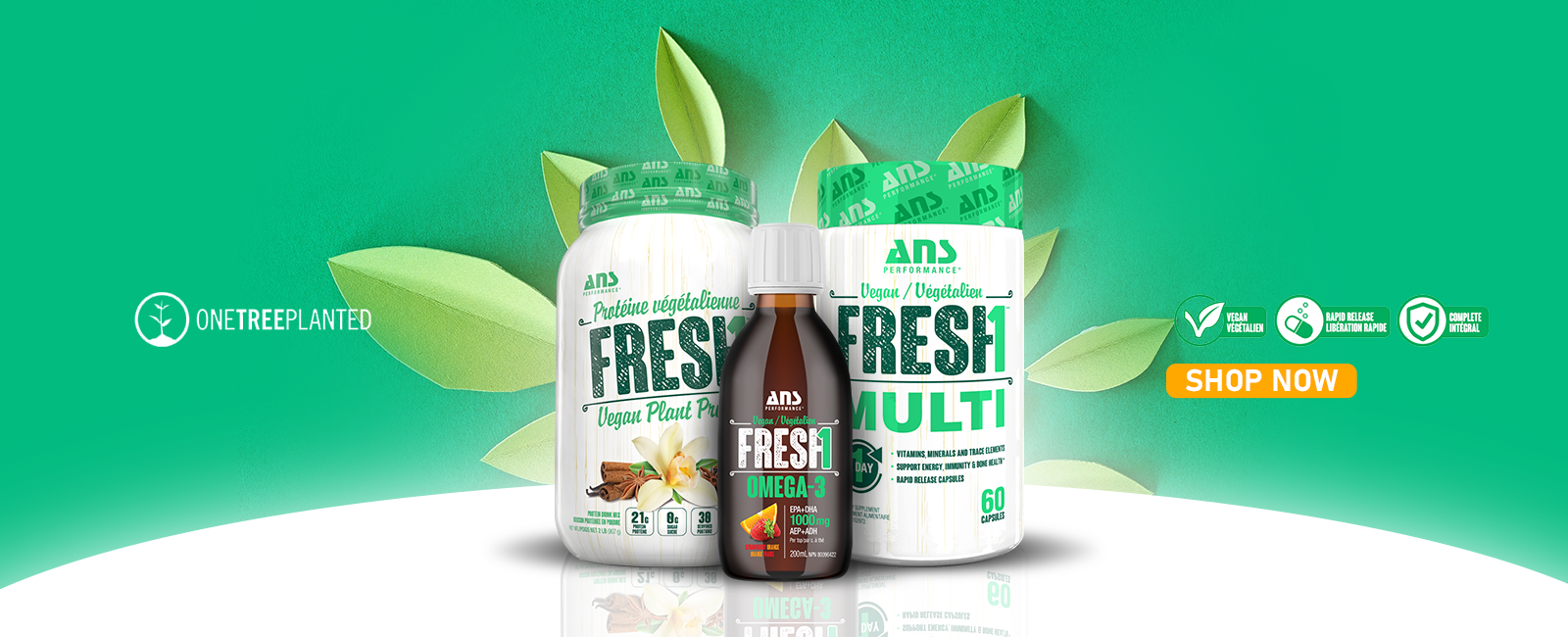 Banner-ANSPerformance-Fresh1_2000x[1]